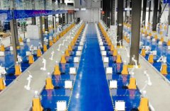 <b>一只机械臂的“七十二变”</b>